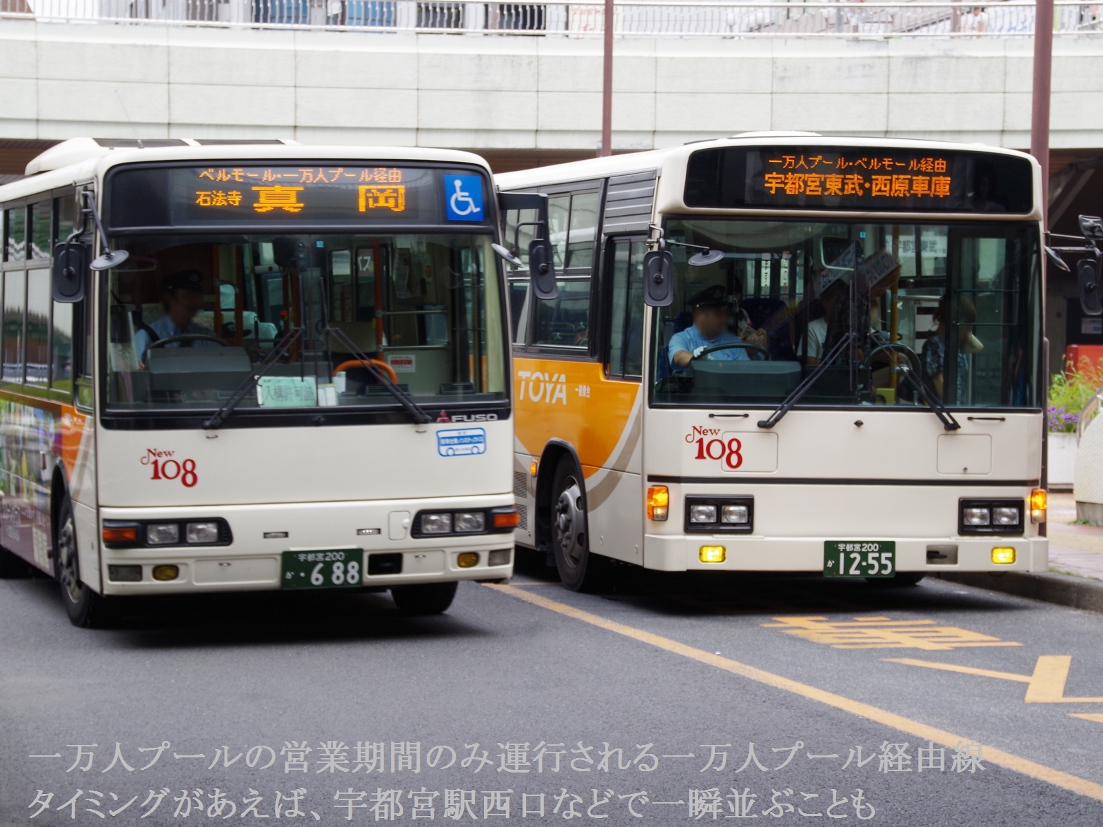 一万人プール営業期間にあわせて運行の西原車庫〜JR宇都宮駅〜ベルモール〜一万人プール〜真岡営業所線