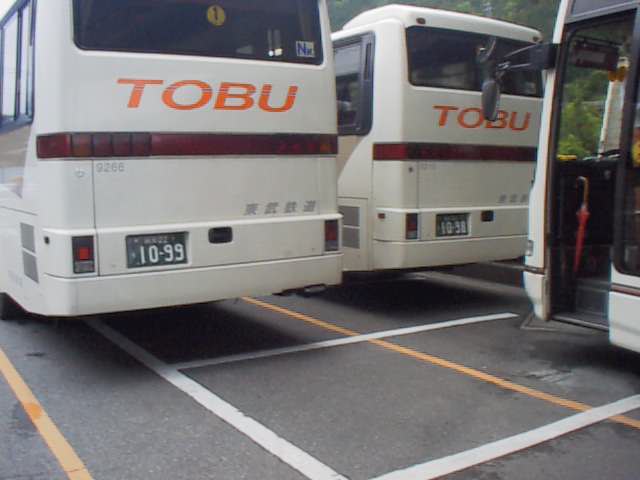 �X�W�N�T���@�����ɂĎB�e